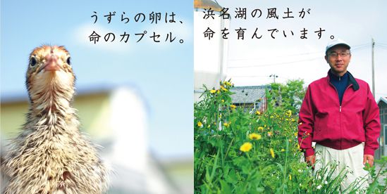 農＋（NOTICE）